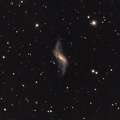 NGC660 zoom.jpg