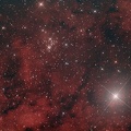 NGC 6910 & Sadr (Gamma Cygni)