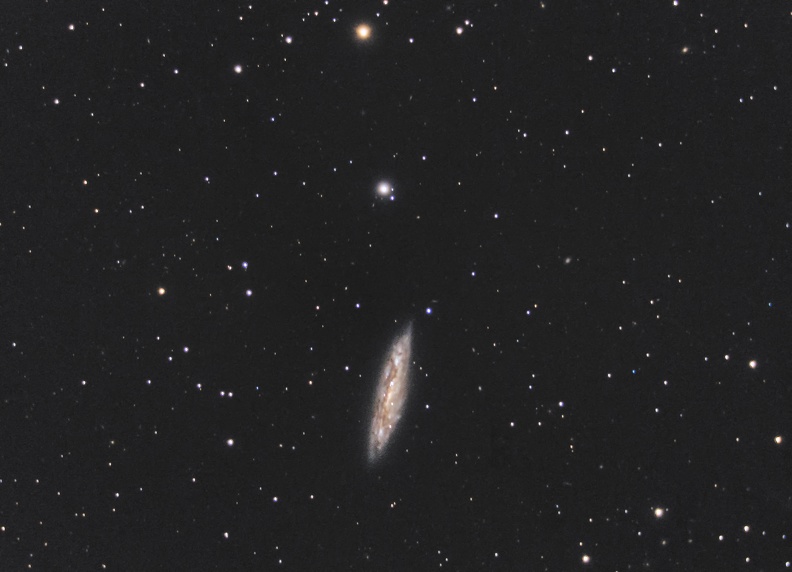 Messier 108 Galaxie de la planche de surf