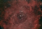 NGC 2244 Nébuleuse de la Rosette