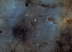 IC1396 en SHO