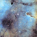 IC1396 en L-SHO