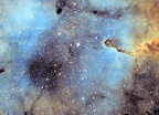 IC1396 en L-SHO
