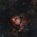 IC1795  NEBULEUSE DE LA TETE DE POISSON