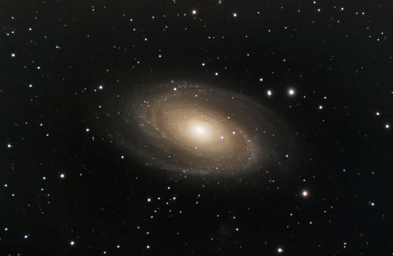 M81 2022.jpg