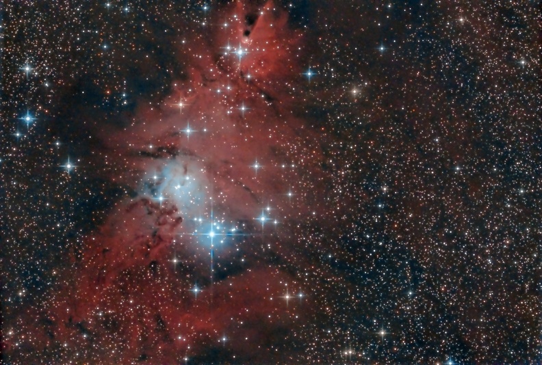 NGC 2264 l'amas de l'Arbre de Noël /La nébuleuse du Cône/nébuleuse de la Fourrure de Renard