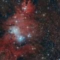 NGC 2264 l'amas de l'Arbre de Noël /La nébuleuse du Cône/nébuleuse de la Fourrure de Renard