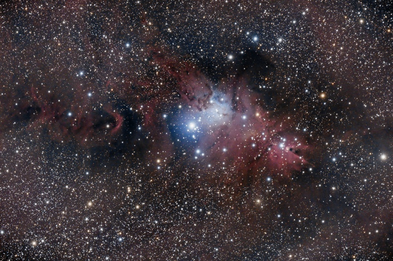 NGC2264 13 fevrier 2023.jpg