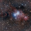 NGC2264 13 fevrier 2023.jpg