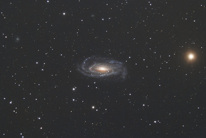 NGC5033 finale reduite.jpg