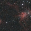 IC 417- NGC 1931- nébuleuse de l’araignée et de la mouche 