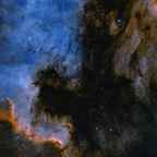 NGC 7000