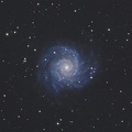 M74