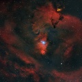ngc 2264