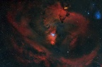 ngc 2264