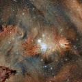 NGC 2264