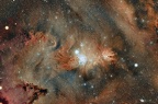 NGC 2264