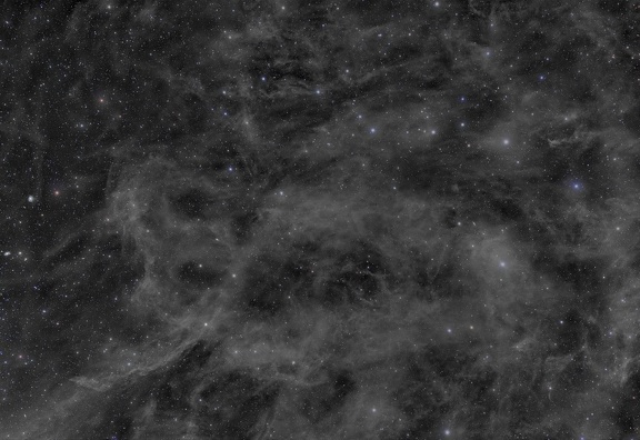 constellation de la petite ourse