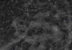 constellation de la petite ourse