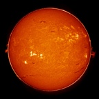 soleil au sol'ex