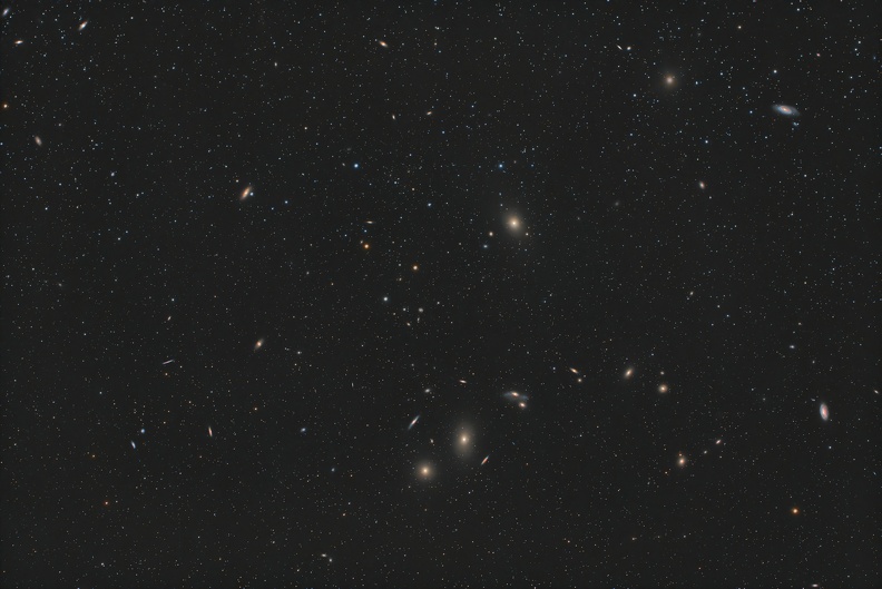 MARKARIAN.jpg