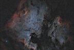 ngc 7000