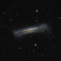 NGC 3628 Galaxie du Hamburger