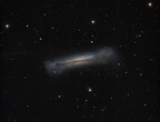 NGC 3628 Galaxie du Hamburger