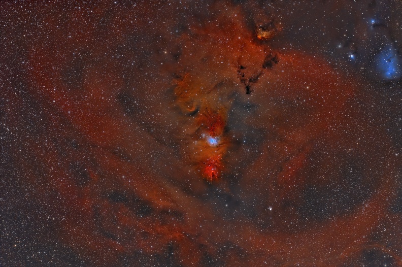 ngc 2264