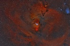 ngc 2264