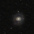 M94 au Seestar