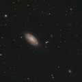 M88