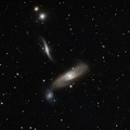 Arp 286 Group : NGC5566 NGC5560 NGC5569