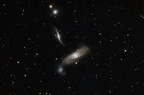 Arp 286 Group : NGC5566 NGC5560 NGC5569