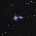 Arp 271 , NGC 5426 and NGC 5427