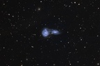 Arp 271 , NGC 5426 and NGC 5427