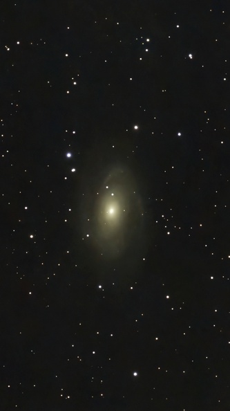 M 81