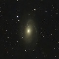 M 81