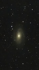 M 81