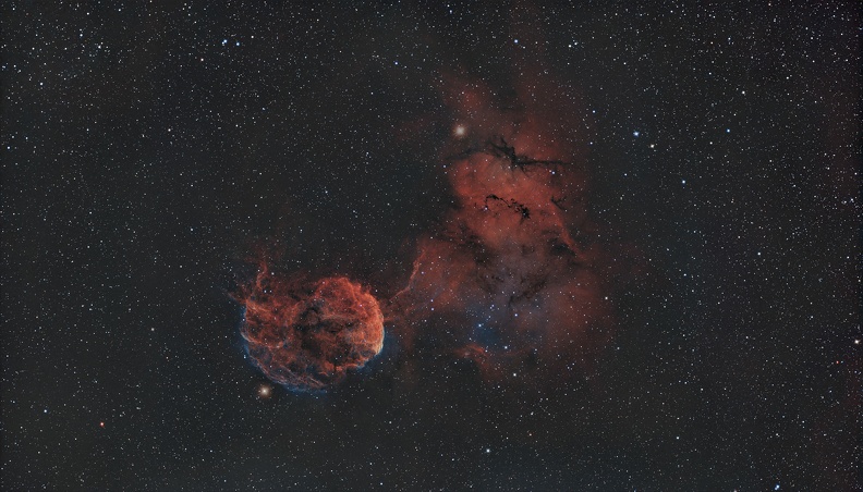 ic 443 