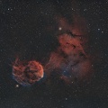 ic 443 