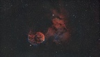 ic 443 