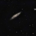 M108, Galaxie du Surfeur