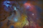 rho ophiuci
