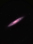 ngc 253 (5232 visits) La galaxie du Sculpteur, NGC 253 est une galaxie spirale intermédiaire visible dans la constellatio... ngc 253