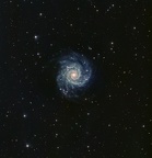 M74
