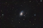 NGC772 (4893 visits) NGC 772, également connue sous le nom d'Arp 78 ou galaxie des Têtes de violon, est une grande gala... NGC772
