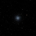 ngc288