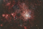 NGC2070 Nébuleuse de la Tarentule