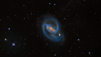 ngc1097 (2768 visits) NGC 1097 (ou Caldwell 67) est une vaste galaxie spirale barrée située dans la constellation du Fou... ngc1097